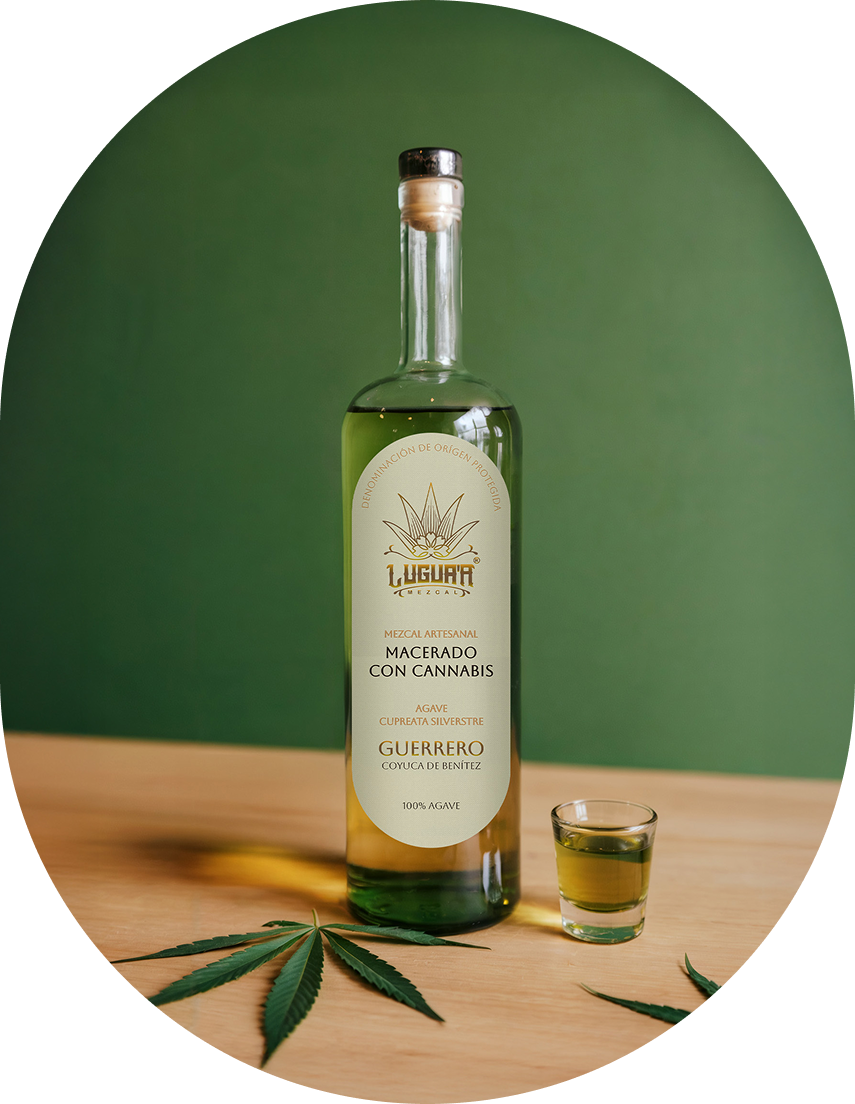 Mezcal Macerado con Cannabis